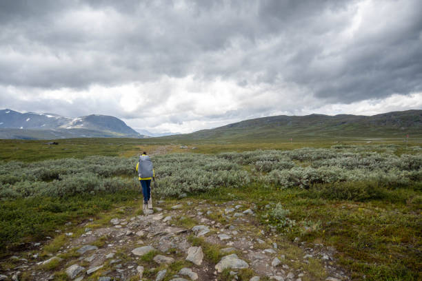 istock Young woman hiking in Sweden 1917456590