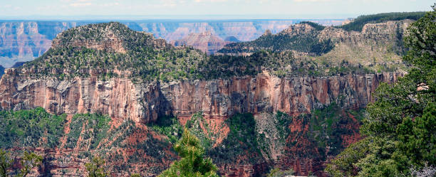 панорамный вид на гранд-каньон, норт-рим, аризона, сша - canyon plateau large majestic стоковые фото и изображения