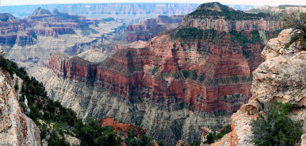 panoramic view of the grand canyon, north rim, arizona, united states - canyon plateau large majestic стоковые фото и изображения