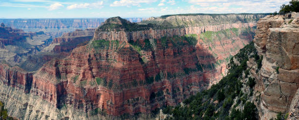 panoramic view of the grand canyon, north rim, arizona, united states - canyon plateau large majestic foto e immagini stock