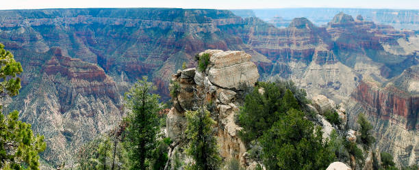 panoramic view of the grand canyon, north rim, arizona, united states - canyon plateau large majestic стоковые фото и изображения