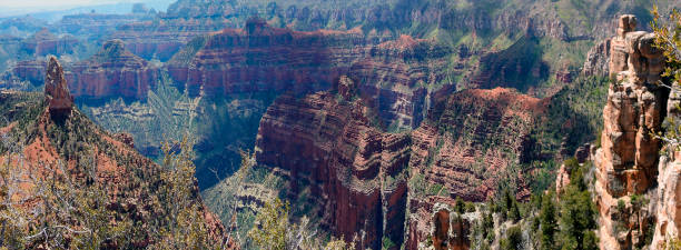 panoramic view of the grand canyon, north rim, arizona, united states - canyon plateau large majestic foto e immagini stock