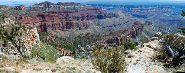 panoramic view of the grand canyon, north rim, arizona, united states - canyon plateau large majestic foto e immagini stock