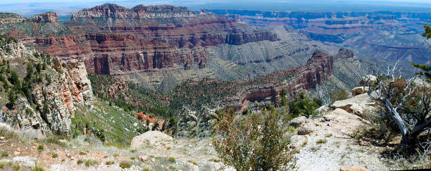 panoramic view of the grand canyon, north rim, arizona, united states - canyon plateau large majestic стоковые фото и изображения