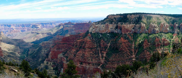 vista panoramica del grand canyon, north rim, arizona, stati uniti - canyon plateau large majestic foto e immagini stock