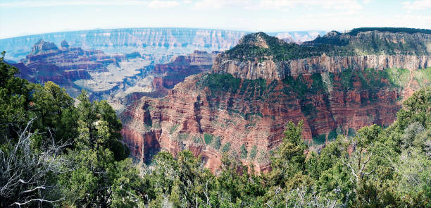 панорамный вид на гранд-каньон, норт-рим, аризона, сша - canyon plateau large majestic стоковые фото и изображения