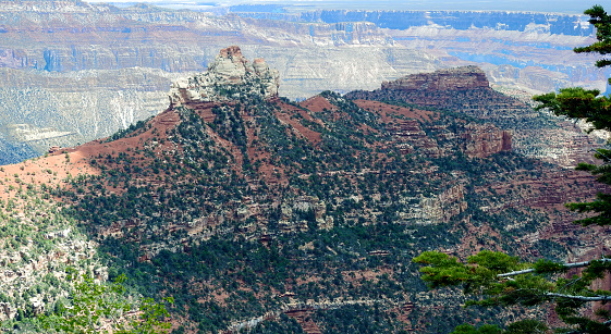 View of the Grand Canyon, North Rim, Arizona - United States