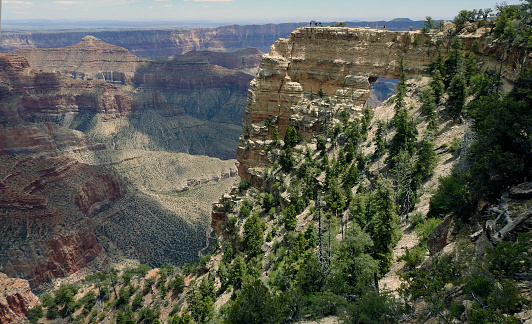 View of the Grand Canyon, North Rim, Arizona - United States