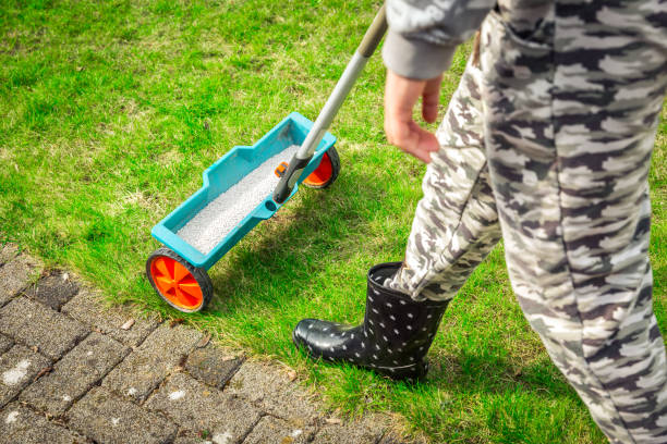 istock Lawn care - Lawn Spring Fertilization tool 1917472358