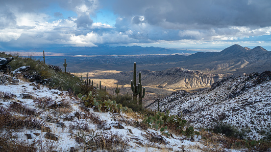 Dusting of snow during break in winter storm on Lookout Trail in McDowell Mountains