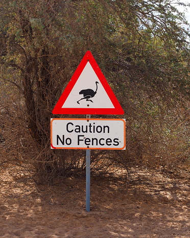 Ostrich Crossing Road Sign  in  Karas region