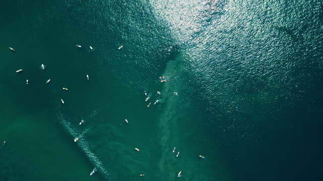 Aerial view captures surfers at popular ocean lineup waiting for waves. Action-packed surf spot showcases individuals paddling, bracing for ride. Drone footage reveals busy water sports.