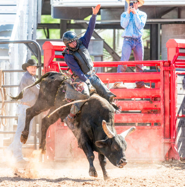 Bull Riders Hand 20+ Bull Rider Gate Stock Photos, Pictures & Royalty-Free Images - iStock