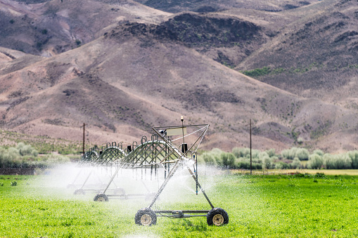 Irrigation equipment being used to spray water on a field in during dry weather, with the arid mountain landscape in the background.