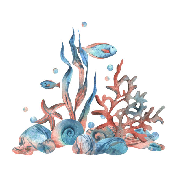 istock Underwater world clipart with sea animals fishes, shells, coral and algae. Hand drawn watercolor illustration. Pre-made composition isolated from the background. 1917556409