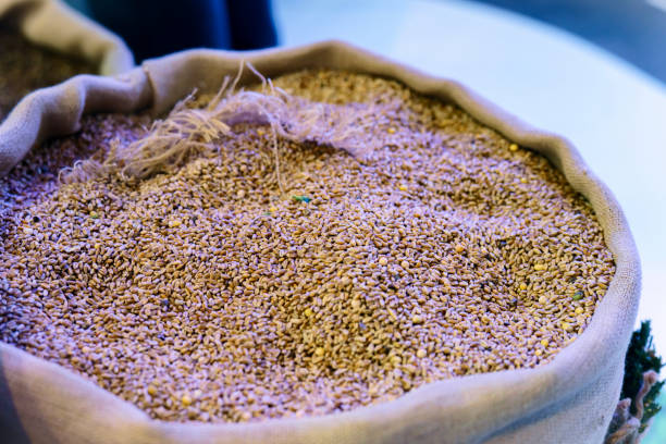 Ripe wheat in a bag for sale