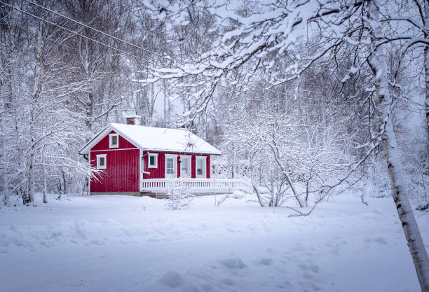 istock Red house in the winter forest 1917578853