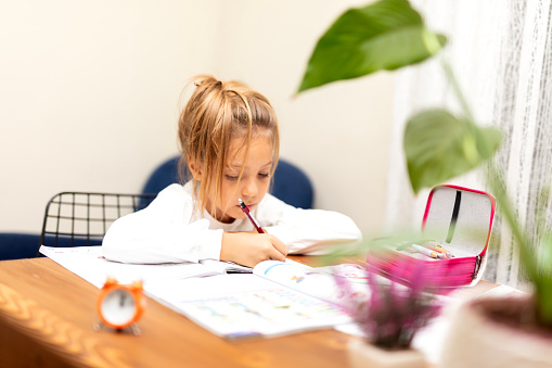 The happy schoolgirl sitting at the desk with books