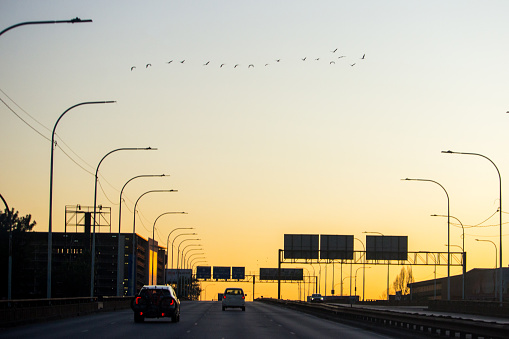 Quiet highway at dawn with a flock of birds flying overhead on an early Saturday morning in Johannesburg, South Africa.