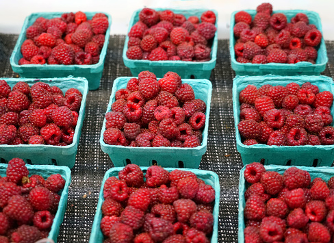 fresh picked raspberry in containers