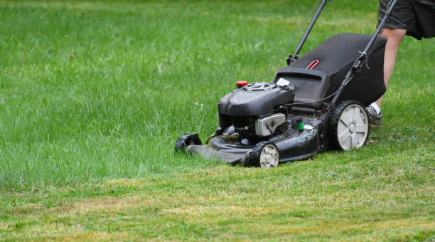 istock manual worker mowing the lawn 1917633941