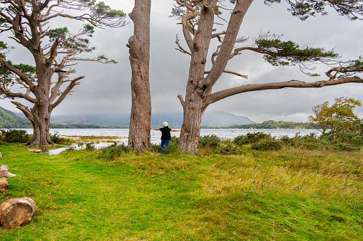 Beautiful landscape with a woman in the background between two large trees next to a lake with clouds and mountains in the background in Ireland
