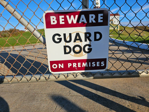 istock Beware of Guard Dog on Fence 1917648149