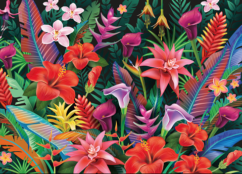 Background with tropical flowers, leaves and birds, tropical paradise