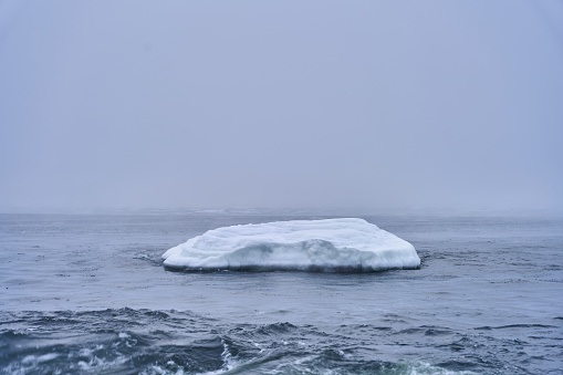 A majestic iceberg floats peacefully in a tranquil ocean shrouded in a mysterious fog
