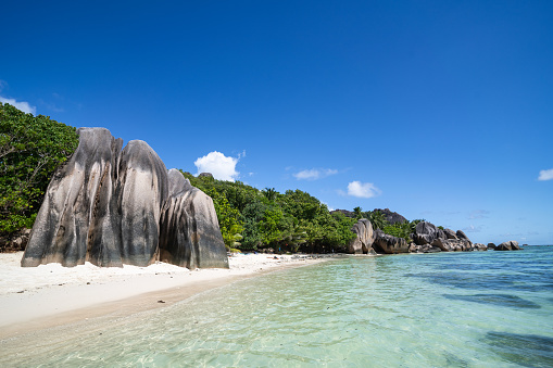 Tranquil beach with blue ocean, tropical trees, and rocky shore.