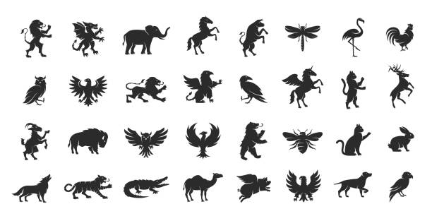 Vector Illustration