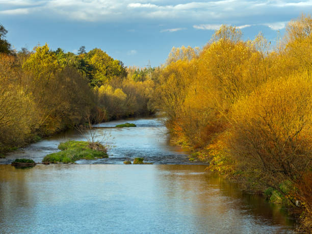 Upper Vistula river near Ustro in autumn. South Poland