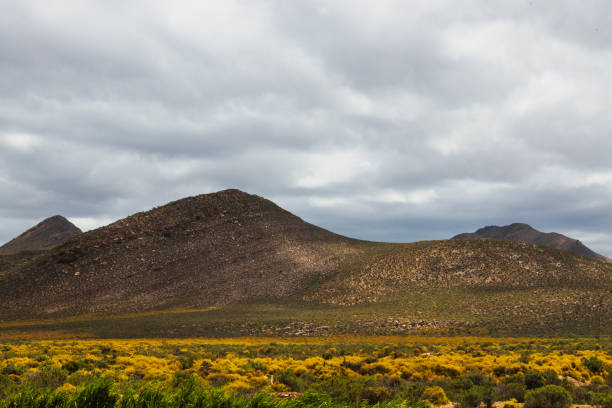 Shot of land surrounding Aquila game reserve in Touws River South Africa.