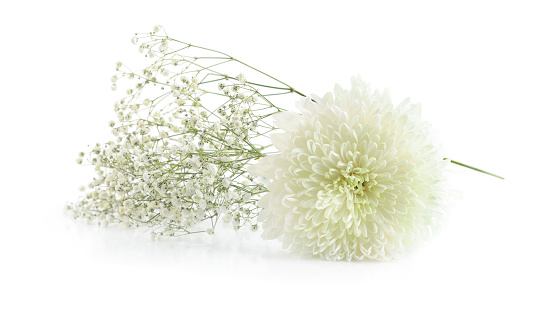Fluffy and cloud-like Gypsophila, commonly known as 'Baby's breath'.