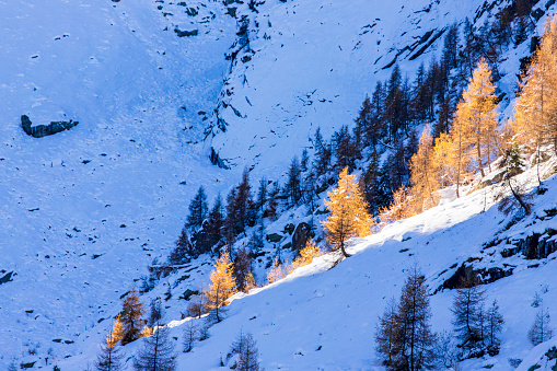 Late mroning in Val Bodengo, Alpe Campo