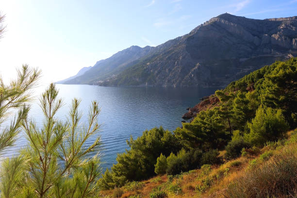 istock Beautiful Landscape in Brela, Croatia 1917759039