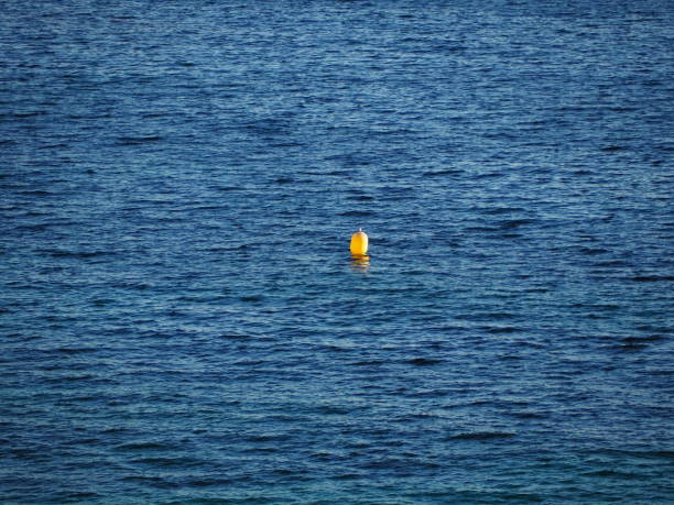 Buoy