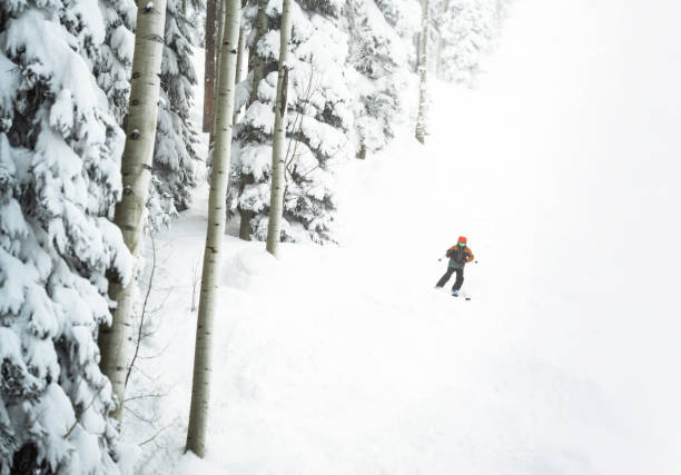 The slopes of Deer Valley ski resort on Morning Star run.
