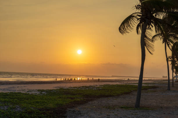 istock people playing football in the beach during sunset 1917781893