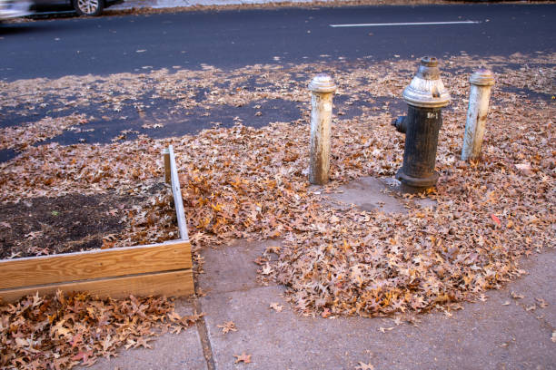 An image of a street scene featuring a red fire hydrant and two blue cardboard boxes sitting side by side