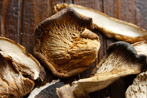 A mixture of dried edible mushrooms, ideal for gastronomic themes.