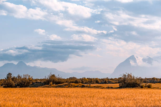 istock Mountain landscape with fields and cloudy sky. Turkey landscape 1917838250