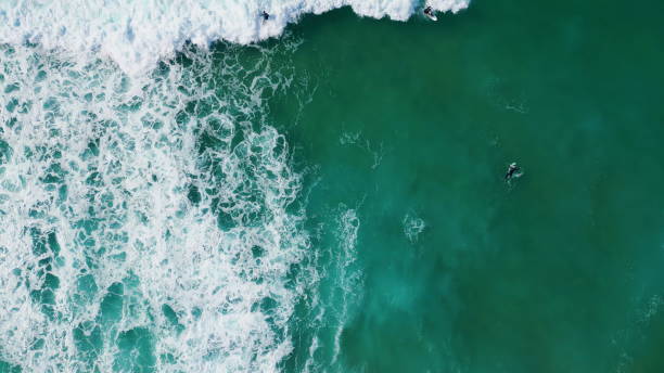istock Aerial view surfboarders waiting ocean waves lying on surfboard. Tropical beach 1917842455