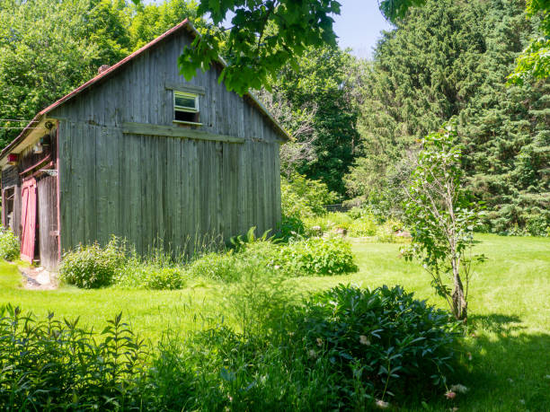 istock View of a wooden shed 1917865011