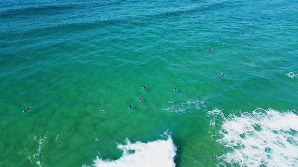 istock Group surfers swimming ocean waiting waves summer weekend. Sea water rolling 1917867724
