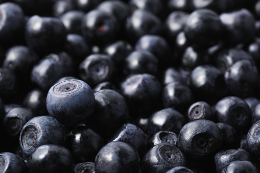 Many delicious ripe bilberries as background, closeup