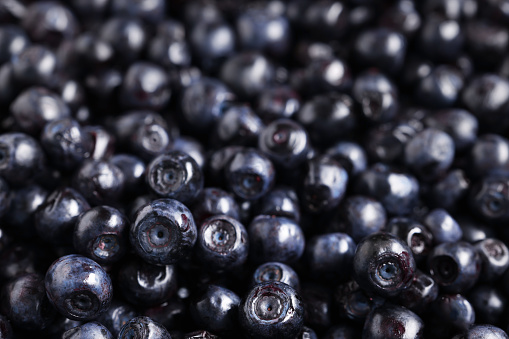 fresh forest fruits:  blueberries and blackberries on white backgroundsee my