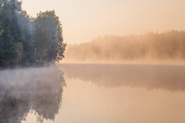 istock foggy lake landscape 1917878282