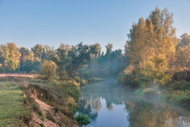 Early morning  at foggy summer river. Nature background