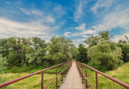 Bridge over small river in the summer forest. Nature background